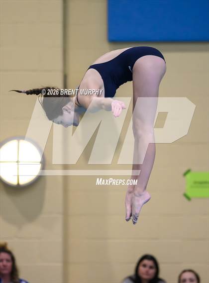 Thumbnail 2 in CHSAA 4A Finals (Diving) photogallery.