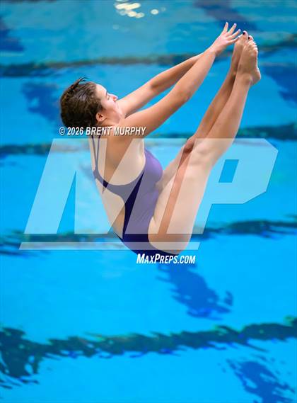 Thumbnail 3 in CHSAA 4A Finals (Diving) photogallery.