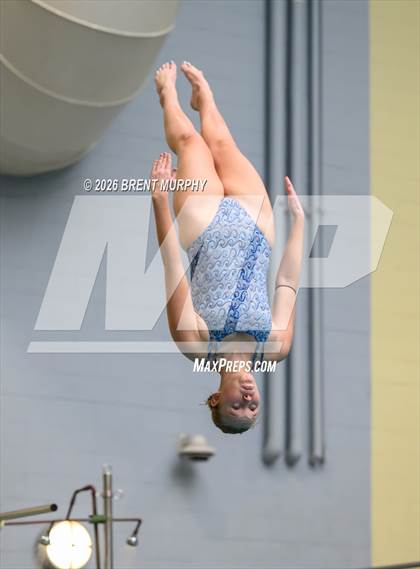 Thumbnail 3 in CHSAA 4A Finals (Diving) photogallery.