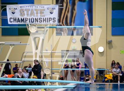 Thumbnail 3 in CHSAA 4A Finals (Diving) photogallery.