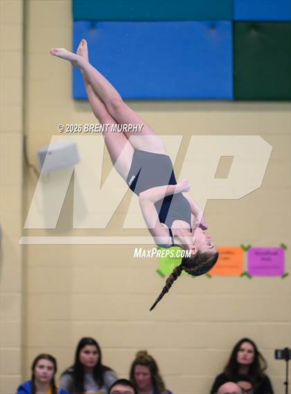 Thumbnail 1 in CHSAA 4A Finals (Diving) photogallery.
