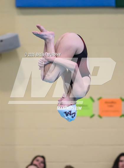 Thumbnail 1 in CHSAA 4A Finals (Diving) photogallery.