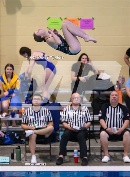 Thumbnail 1 in CHSAA 4A Finals (Diving) photogallery.