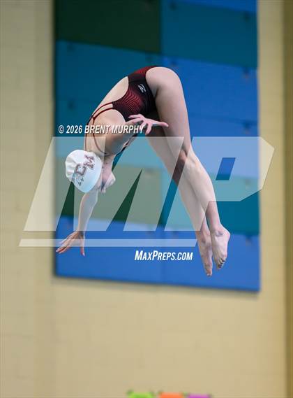 Thumbnail 3 in CHSAA 4A Finals (Diving) photogallery.