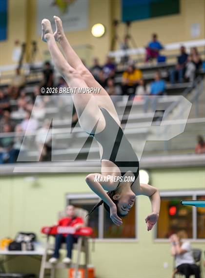 Thumbnail 1 in CHSAA 4A Finals (Diving) photogallery.
