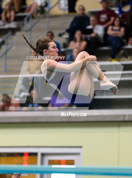 Thumbnail 2 in CHSAA 4A Finals (Diving) photogallery.