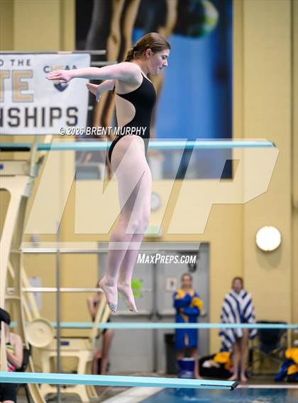 Thumbnail 2 in CHSAA 4A Finals (Diving) photogallery.