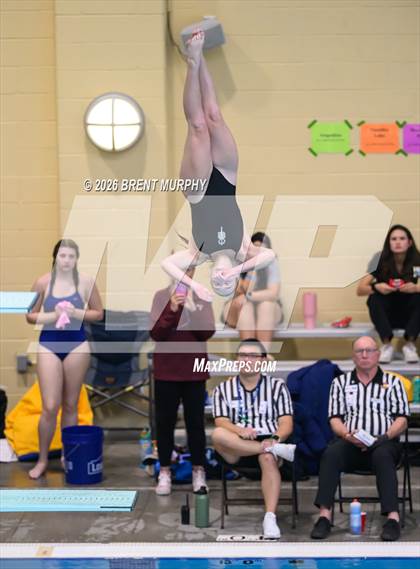 Thumbnail 1 in CHSAA 4A Finals (Diving) photogallery.