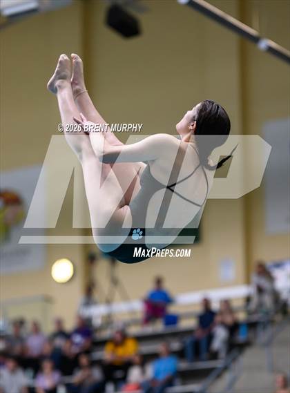 Thumbnail 3 in CHSAA 4A Finals (Diving) photogallery.
