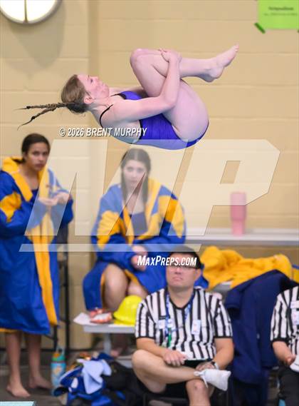 Thumbnail 1 in CHSAA 4A Finals (Diving) photogallery.
