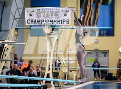 Thumbnail 1 in CHSAA 4A Finals (Diving) photogallery.
