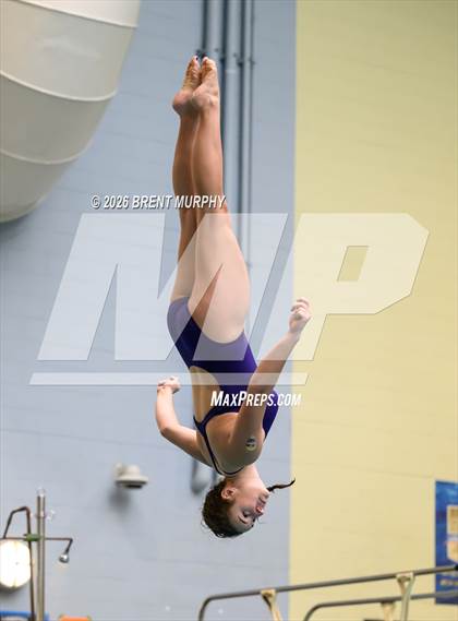 Thumbnail 2 in CHSAA 4A Finals (Diving) photogallery.