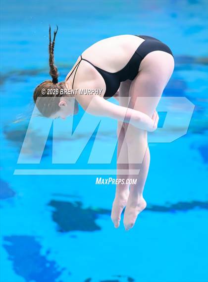 Thumbnail 1 in CHSAA 4A Finals (Diving) photogallery.