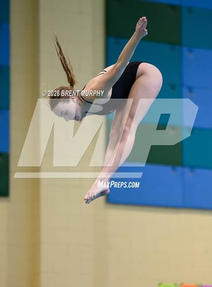 Thumbnail 3 in CHSAA 4A Finals (Diving) photogallery.