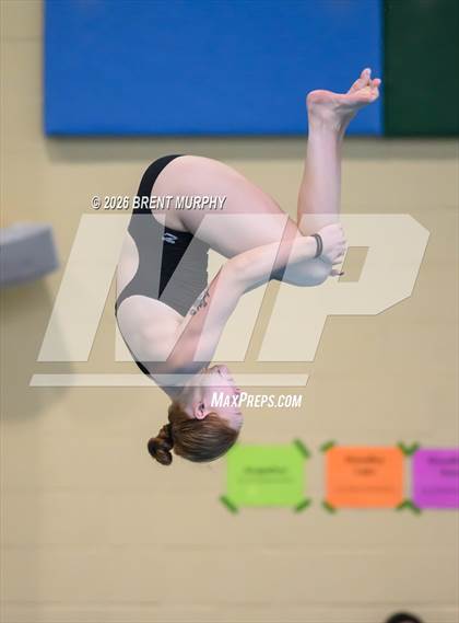 Thumbnail 2 in CHSAA 4A Finals (Diving) photogallery.