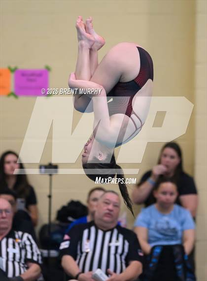 Thumbnail 2 in CHSAA 4A Finals (Diving) photogallery.