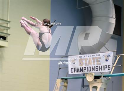 Thumbnail 3 in CHSAA 4A Finals (Diving) photogallery.