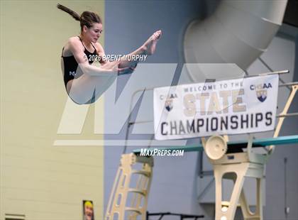 Thumbnail 3 in CHSAA 4A Finals (Diving) photogallery.
