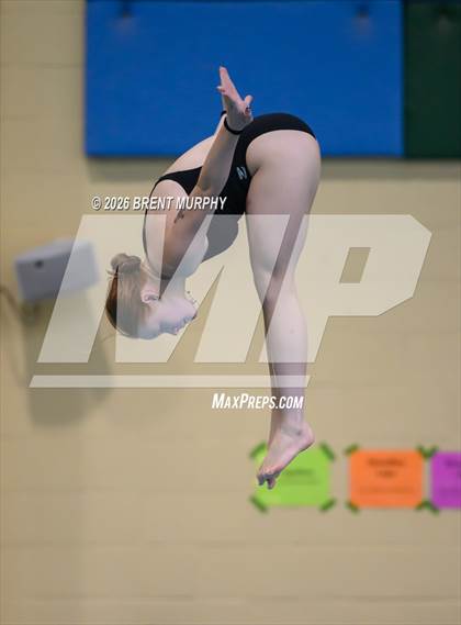 Thumbnail 3 in CHSAA 4A Finals (Diving) photogallery.