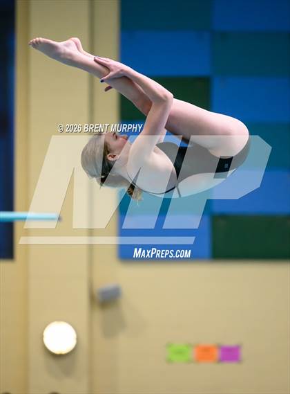Thumbnail 3 in CHSAA 4A Finals (Diving) photogallery.
