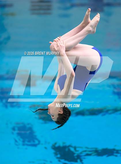 Thumbnail 2 in CHSAA 4A Finals (Diving) photogallery.