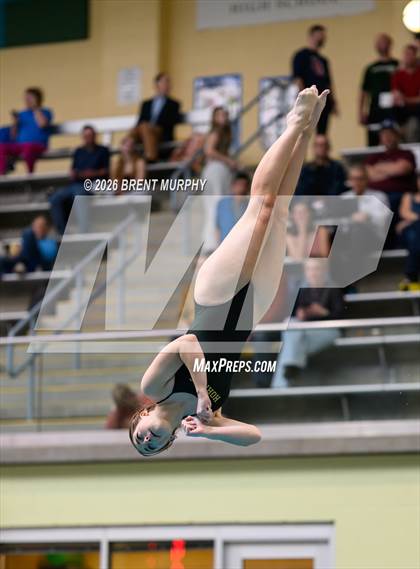 Thumbnail 1 in CHSAA 4A Finals (Diving) photogallery.