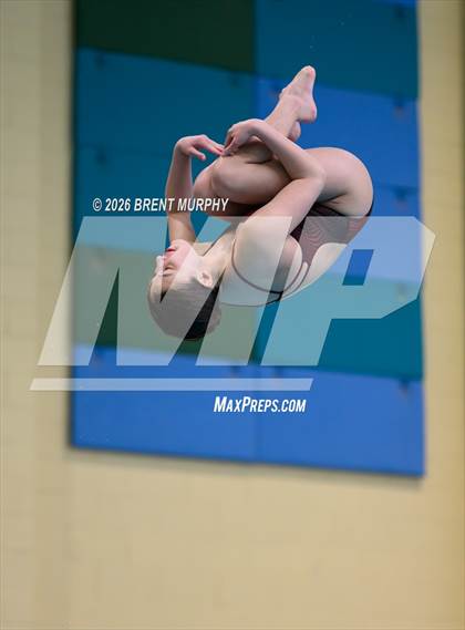 Thumbnail 2 in CHSAA 4A Finals (Diving) photogallery.