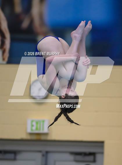 Thumbnail 2 in CHSAA 4A Finals (Diving) photogallery.