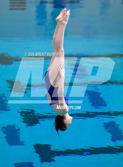 Thumbnail 3 in CHSAA 4A Finals (Diving) photogallery.