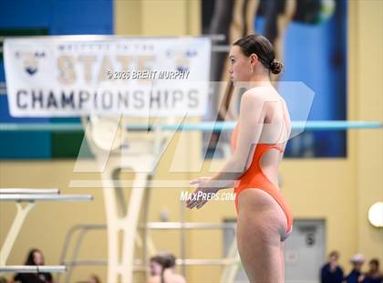 Thumbnail 2 in CHSAA 4A Finals (Diving) photogallery.