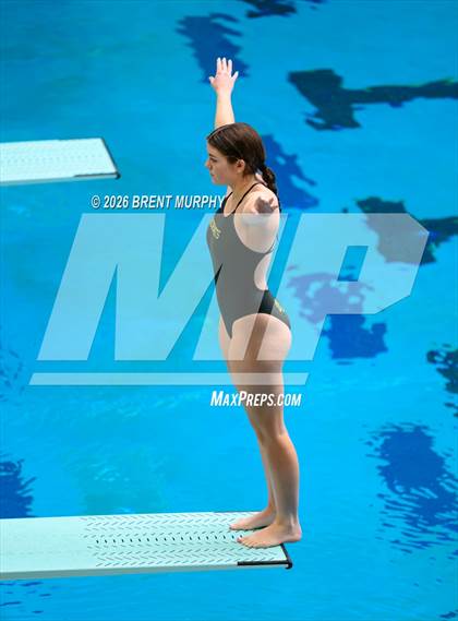 Thumbnail 1 in CHSAA 4A Finals (Diving) photogallery.