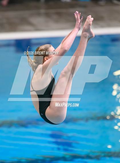 Thumbnail 3 in CHSAA 4A Finals (Diving) photogallery.