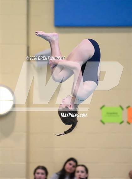 Thumbnail 3 in CHSAA 4A Finals (Diving) photogallery.