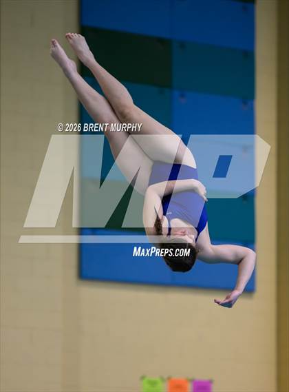 Thumbnail 1 in CHSAA 4A Finals (Diving) photogallery.