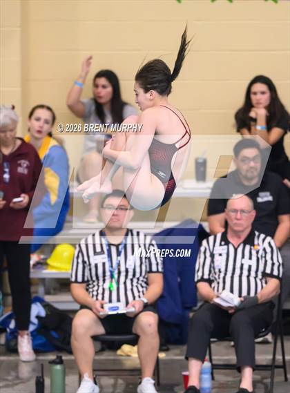 Thumbnail 2 in CHSAA 4A Finals (Diving) photogallery.