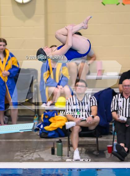 Thumbnail 3 in CHSAA 4A Finals (Diving) photogallery.