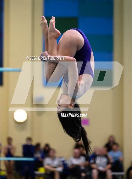 Thumbnail 3 in CHSAA 4A Finals (Diving) photogallery.