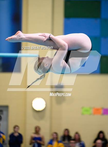 Thumbnail 1 in CHSAA 4A Finals (Diving) photogallery.