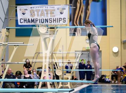 Thumbnail 3 in CHSAA 4A Finals (Diving) photogallery.