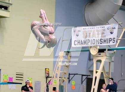 Thumbnail 1 in CHSAA 4A Finals (Diving) photogallery.