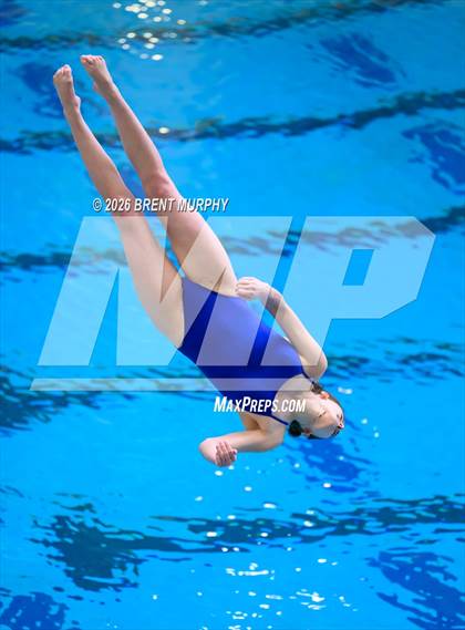 Thumbnail 1 in CHSAA 4A Finals (Diving) photogallery.