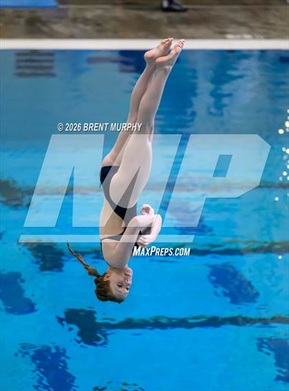 Thumbnail 2 in CHSAA 4A Finals (Diving) photogallery.