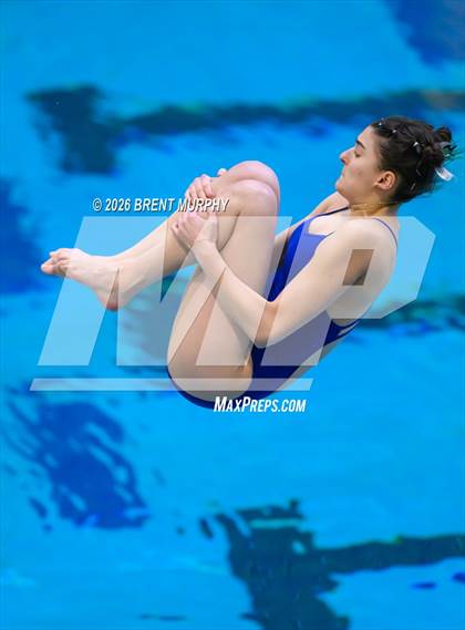 Thumbnail 2 in CHSAA 4A Finals (Diving) photogallery.