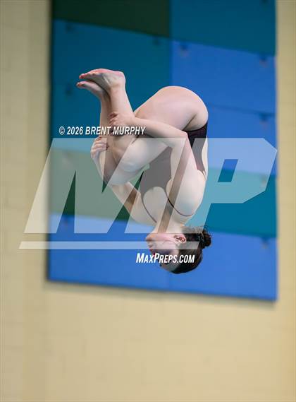 Thumbnail 2 in CHSAA 4A Finals (Diving) photogallery.