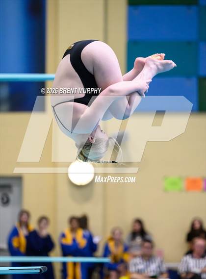 Thumbnail 3 in CHSAA 4A Finals (Diving) photogallery.