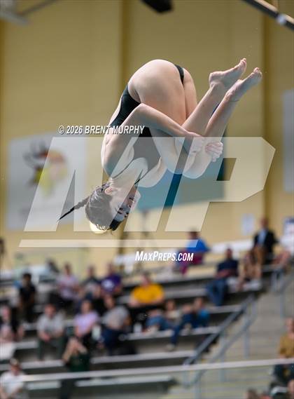 Thumbnail 1 in CHSAA 4A Finals (Diving) photogallery.