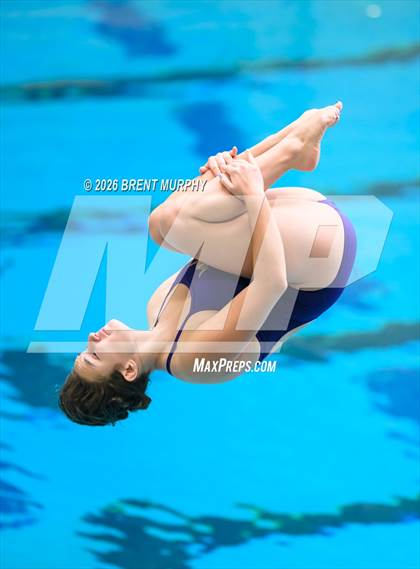 Thumbnail 1 in CHSAA 4A Finals (Diving) photogallery.