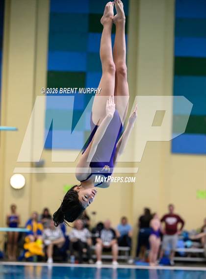 Thumbnail 2 in CHSAA 4A Finals (Diving) photogallery.