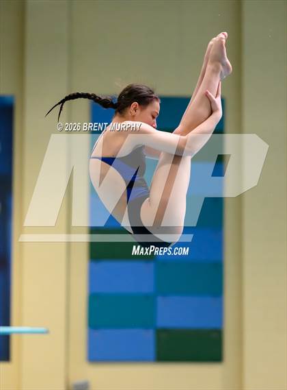 Thumbnail 1 in CHSAA 4A Finals (Diving) photogallery.