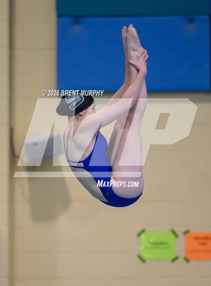 Thumbnail 3 in CHSAA 4A Finals (Diving) photogallery.